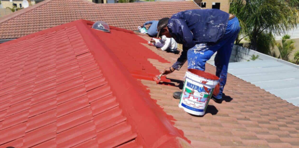 Roof painting