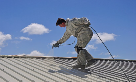 Roof Painting